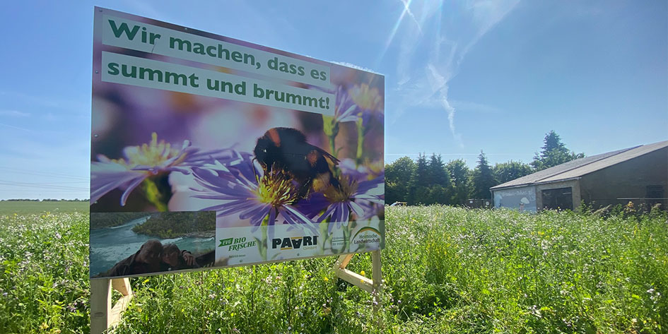 PAARI Nachhaltigkeit Umweltprojekt Blühstreifen